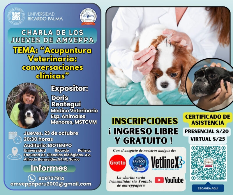Acupuntura Veterinaria: conversaciones clínicas